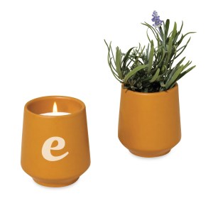 Modern Sprout Rooted Candle - Mustard-Lavender 1 Modern Sprout Rooted Candle - Mustard-Lavender 1