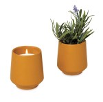 Modern Sprout® Rooted Candle - Mustard-Lavender 2 Modern Sprout® Rooted Candle - Mustard-Lavender 2