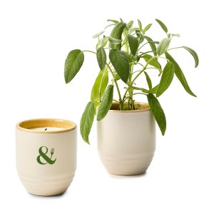 Modern Sprout® Garden Vibes Candle/Planter - Golden Moments-Sage 1 Modern Sprout® Garden Vibes Candle/Planter - Golden Moments-Sage 1