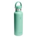 Hydro Flask Standard Flex Cap Bottle 21 Oz. - Mermaid Green - Alternate Hydro Flask Standard Flex Cap Bottle 21 Oz. - Mermaid Green - Alternate