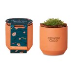 Modern Sprout® Tiny Terracotta Grow Kit Thank You Daisies - Terracotta 1 Modern Sprout® Tiny Terracotta Grow Kit Thank You Daisies - Terracotta 1