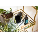 Modern Sprout® Plant Parent Care Kit - Black - Alternate Modern Sprout® Plant Parent Care Kit - Black - Alternate