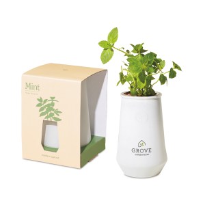 Modern Sprout Tapered Tumbler Grow Kit - White-Mint 1 Modern Sprout Tapered Tumbler Grow Kit - White-Mint 1