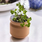 Modern Sprout Tiny Terracotta Lucky to Have You - Terracotta - Alternate Modern Sprout Tiny Terracotta Lucky to Have You - Terracotta - Alternate