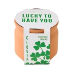 Modern Sprout Tiny Terracotta Lucky to Have You - Terracotta - Alternate Modern Sprout Tiny Terracotta Lucky to Have You - Terracotta - Alternate