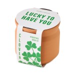 Modern Sprout Tiny Terracotta Lucky to Have You - Terracotta - Alternate Modern Sprout Tiny Terracotta Lucky to Have You - Terracotta - Alternate