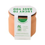 Modern Sprout Tiny Terracotta Lucky to Have You - Terracotta - Alternate Modern Sprout Tiny Terracotta Lucky to Have You - Terracotta - Alternate