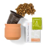 Modern Sprout Tiny Terracotta Lucky to Have You - Terracotta - Alternate Modern Sprout Tiny Terracotta Lucky to Have You - Terracotta - Alternate
