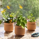 Modern Sprout Tiny Terracotta Lucky to Have You - Terracotta - Alternate Modern Sprout Tiny Terracotta Lucky to Have You - Terracotta - Alternate