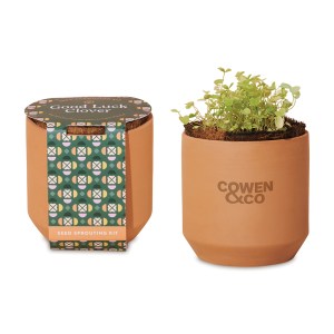 Modern Sprout Tiny Terracotta Grow Kit Good Luck Clover - Terracotta 1 Modern Sprout Tiny Terracotta Grow Kit Good Luck Clover - Terracotta 1