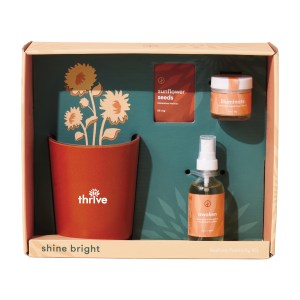 Modern Sprout® Shine Bright Take Care Kit - Sunflower - Shine Bright Sunflower 1 Modern Sprout® Shine Bright Take Care Kit - Sunflower - Shine Bright Sunflower 1