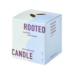 Modern Sprout Rooted Candle - Blue-Basil - Alternate Modern Sprout Rooted Candle - Blue-Basil - Alternate