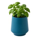 Modern Sprout Rooted Candle - Blue-Basil - Alternate Modern Sprout Rooted Candle - Blue-Basil - Alternate
