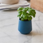 Modern Sprout Rooted Candle - Blue-Basil - Alternate Modern Sprout Rooted Candle - Blue-Basil - Alternate