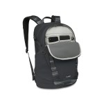 Osprey Flare - Glitch Print - Alternate Osprey Flare - Glitch Print - Alternate