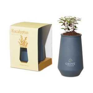 Modern Sprout Tapered Tumbler Grow Kit - Blue Agave-Eucalyptus 1 Modern Sprout Tapered Tumbler Grow Kit - Blue Agave-Eucalyptus 1