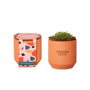 Modern Sprout® Tiny Terracotta Grow Kit Champagne Poppies - Terracotta 1 Modern Sprout® Tiny Terracotta Grow Kit Champagne Poppies - Terracotta 1
