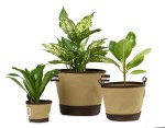 Heritage Supply Plant, Grow and Store Trio of Pots - Dune 2 Heritage Supply Plant, Grow and Store Trio of Pots - Dune 2