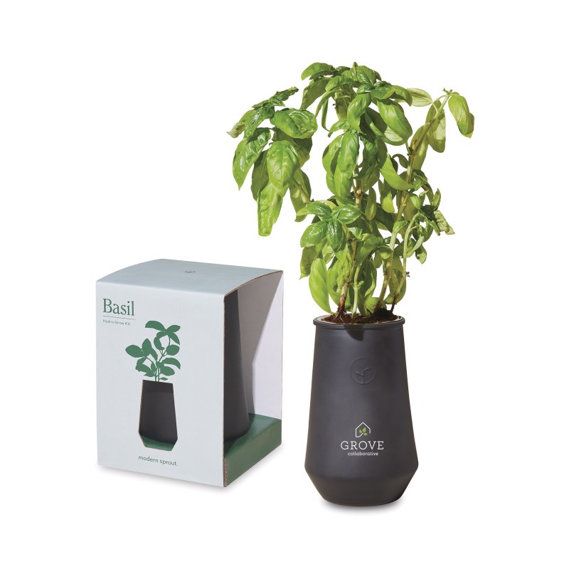 Modern Sprout Tapered Tumbler Grow Kit - Black-Basil 1 Modern Sprout Tapered Tumbler Grow Kit - Black-Basil 1
