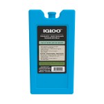 Igloo® Ice Block - Medium - Turquoise 1 Igloo® Ice Block - Medium - Turquoise 1