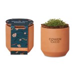 Modern Sprout Tiny Terracotta Grow Kit Thank You Daisies - Terracotta 1 Modern Sprout Tiny Terracotta Grow Kit Thank You Daisies - Terracotta 1