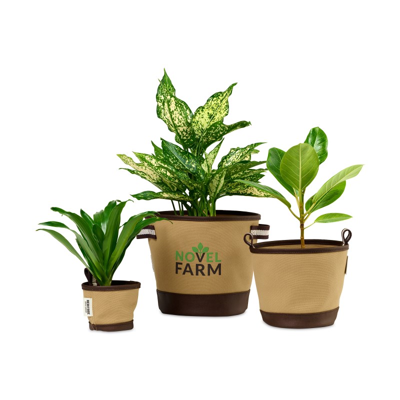 Heritage Supply™ Plant, Grow and Store Trio of Pots - Dune 1 Heritage Supply™ Plant, Grow and Store Trio of Pots - Dune 1