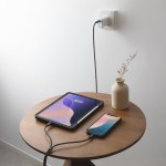 Native Union Belt Cable 2-in-1 USB-C to USB-C & USB-C Cable - Black - Alternate Native Union Belt Cable 2-in-1 USB-C to USB-C & USB-C Cable - Black - Alternate