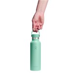Hydro Flask Standard Flex Cap Bottle 21 Oz. - Mermaid Green - Alternate Hydro Flask Standard Flex Cap Bottle 21 Oz. - Mermaid Green - Alternate
