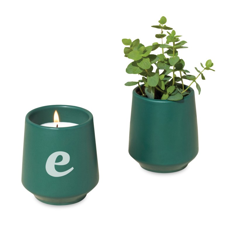 Modern Sprout® Rooted Candle - Dark Teal-Thyme 1 Modern Sprout® Rooted Candle - Dark Teal-Thyme 1