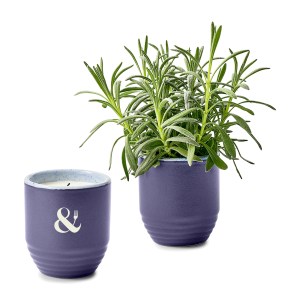 Modern Sprout® Garden Vibes Candle/Planter - Violet Hour-Lavender 1 Modern Sprout® Garden Vibes Candle/Planter - Violet Hour-Lavender 1