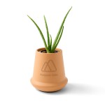 Modern Sprout Modern Terracotta Grow Kit Aloe - Terracotta 1 Modern Sprout Modern Terracotta Grow Kit Aloe - Terracotta 1