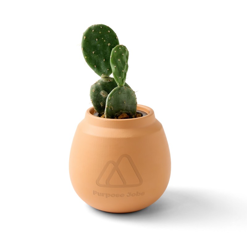 Modern Sprout Modern Terracotta Grow Kit Cactus - Terracotta 1 Modern Sprout Modern Terracotta Grow Kit Cactus - Terracotta 1