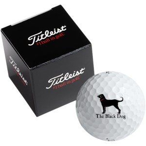 Titleist 1-Golf Ball Box Velocity 2 Titleist 1-Golf Ball Box Velocity 2