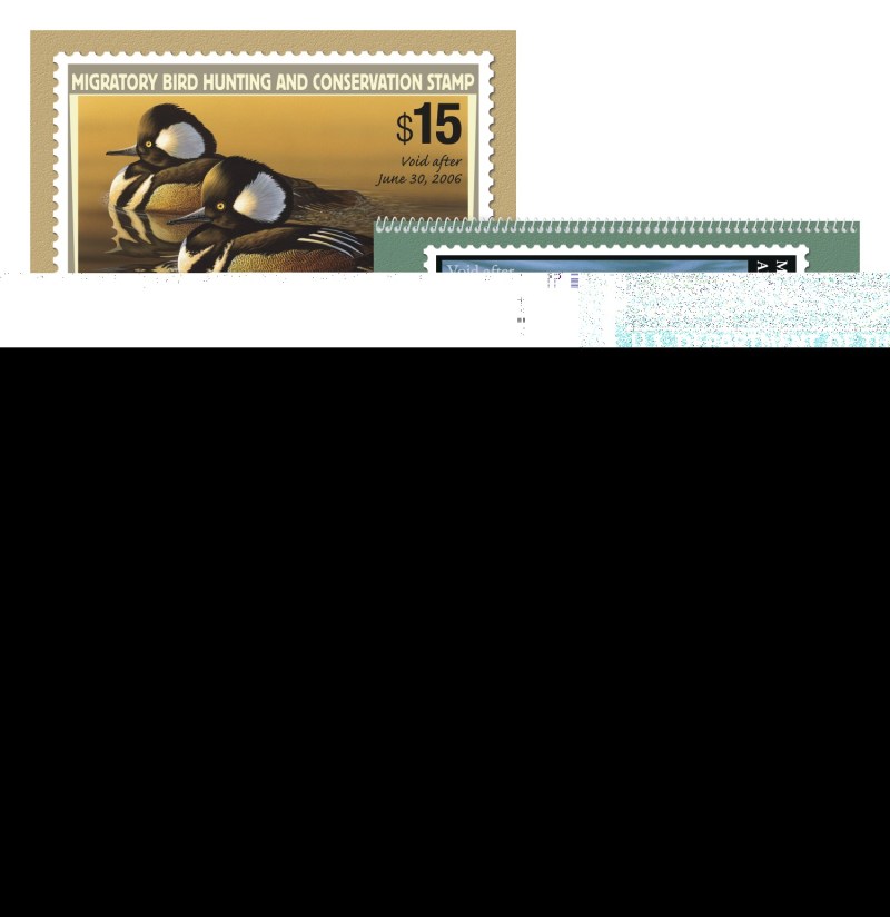 Duck Stamps 2 Duck Stamps 2