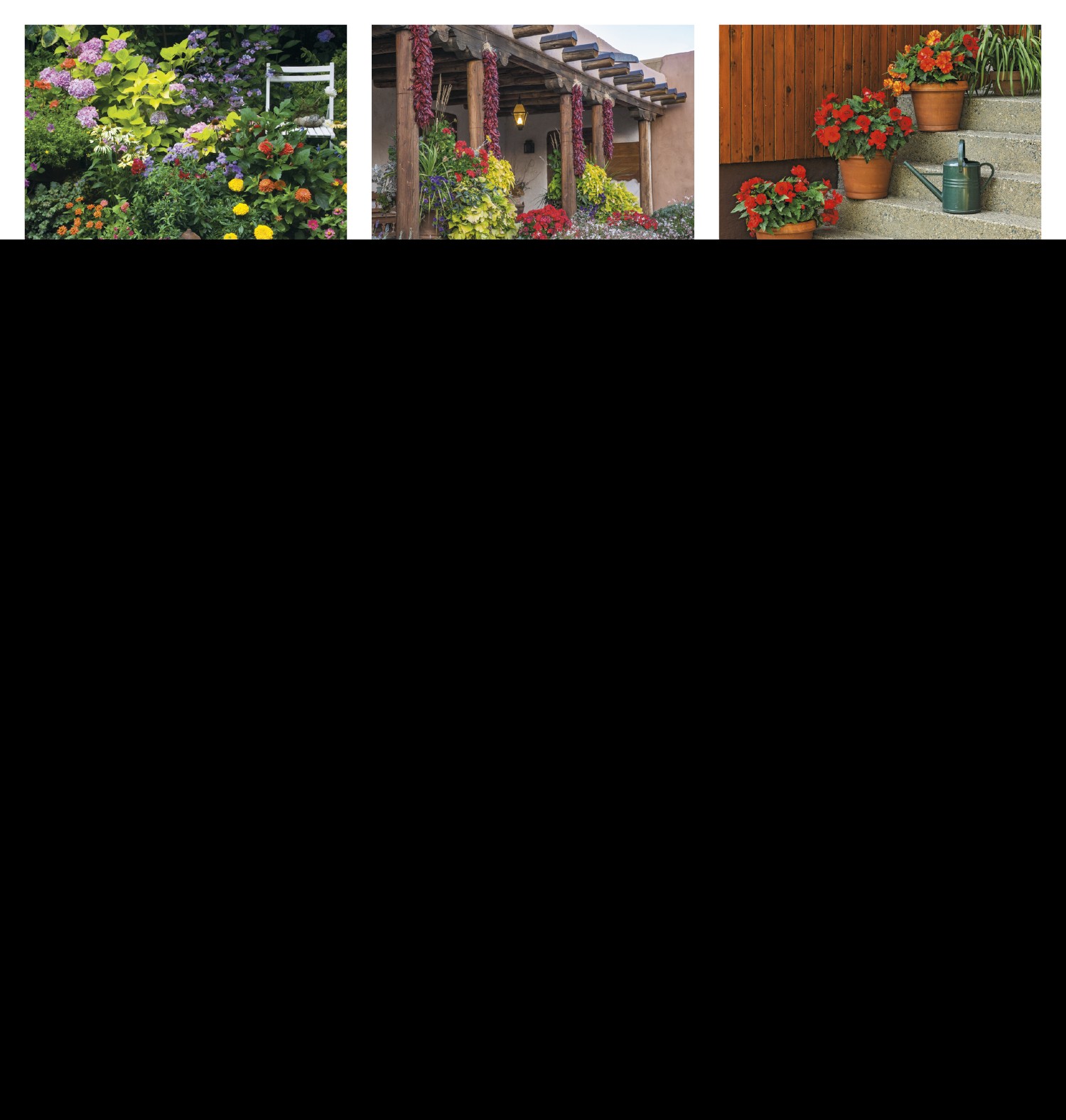 Good Value™ Garden Walk - Window Calendar 2