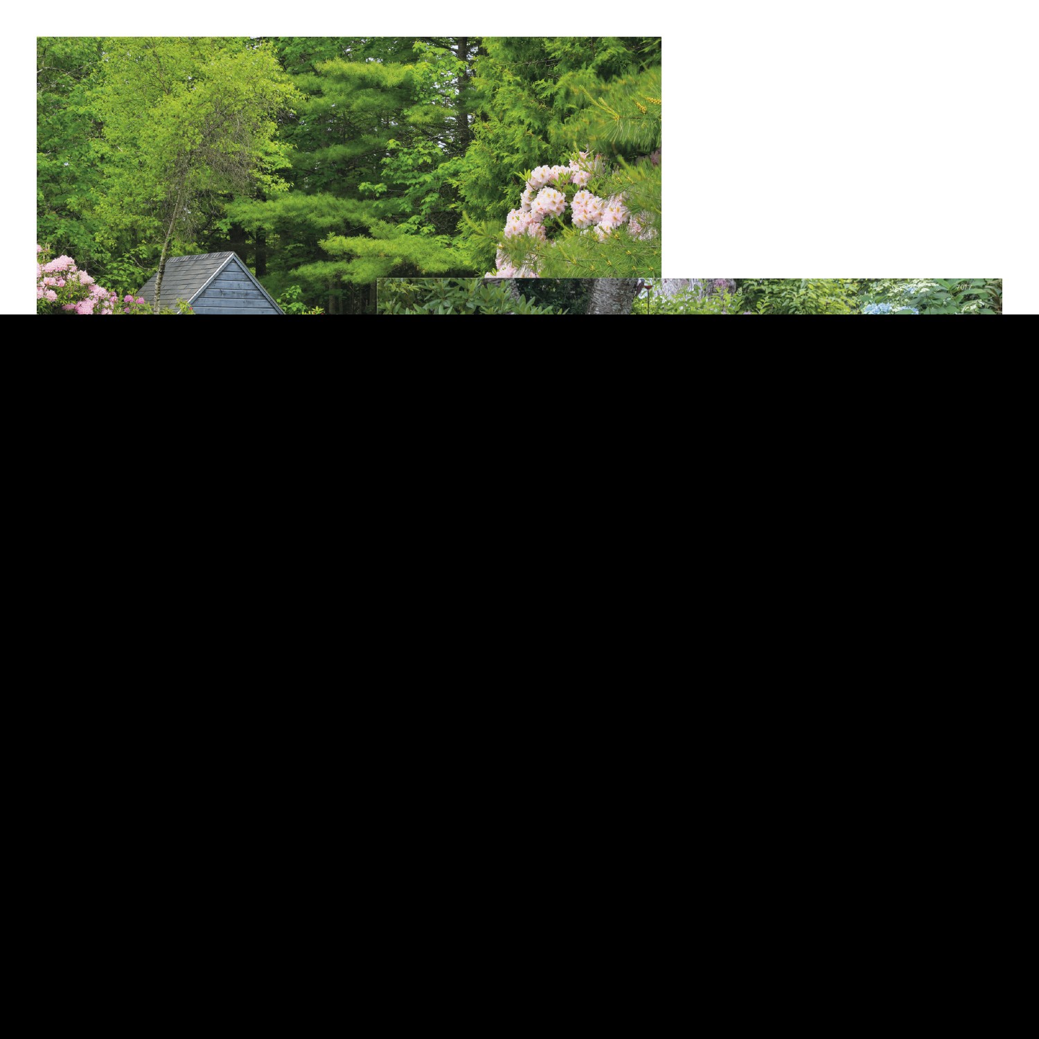 Good Value™ Garden Walk - Window Calendar 2