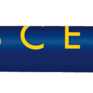 BIC® PrevaGuard® Round Stic® Pen 2 BIC® PrevaGuard® Round Stic® Pen 2