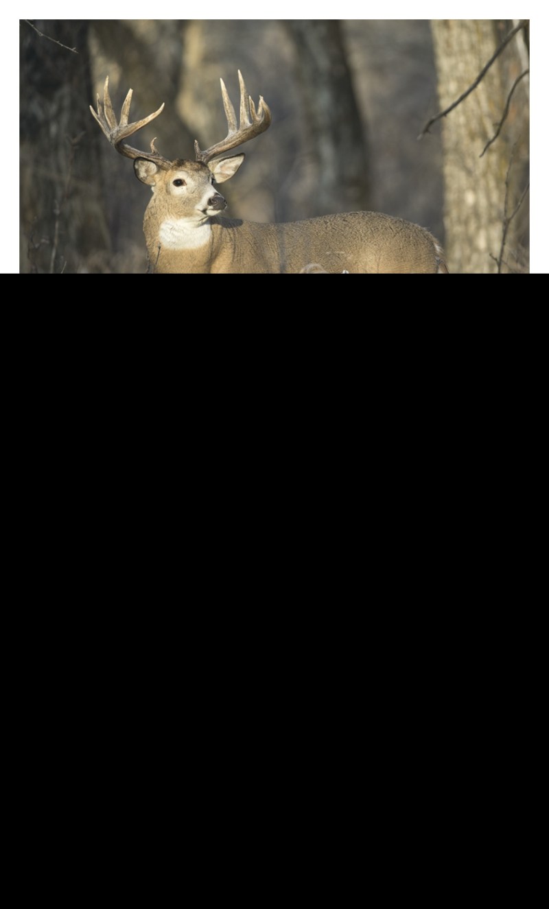 Triumph® Calendars Southcentral Sportsman Calendar 2 Triumph® Calendars Southcentral Sportsman Calendar 2