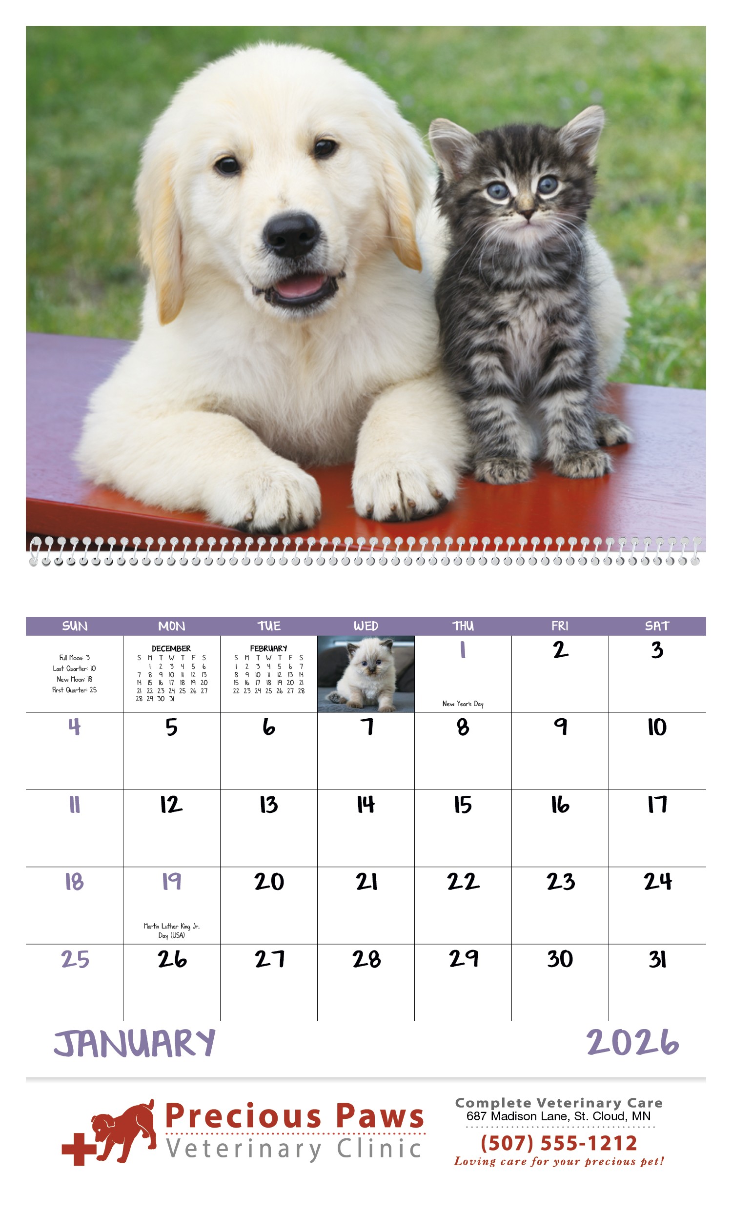 Good Value™ Puppies & Kittens - Spiral Calendar 2