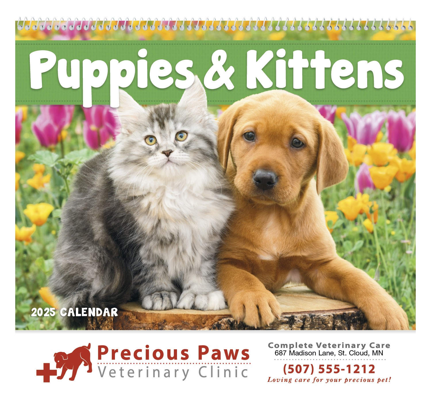 Good Value™ Puppies & Kittens - Spiral Calendar 2