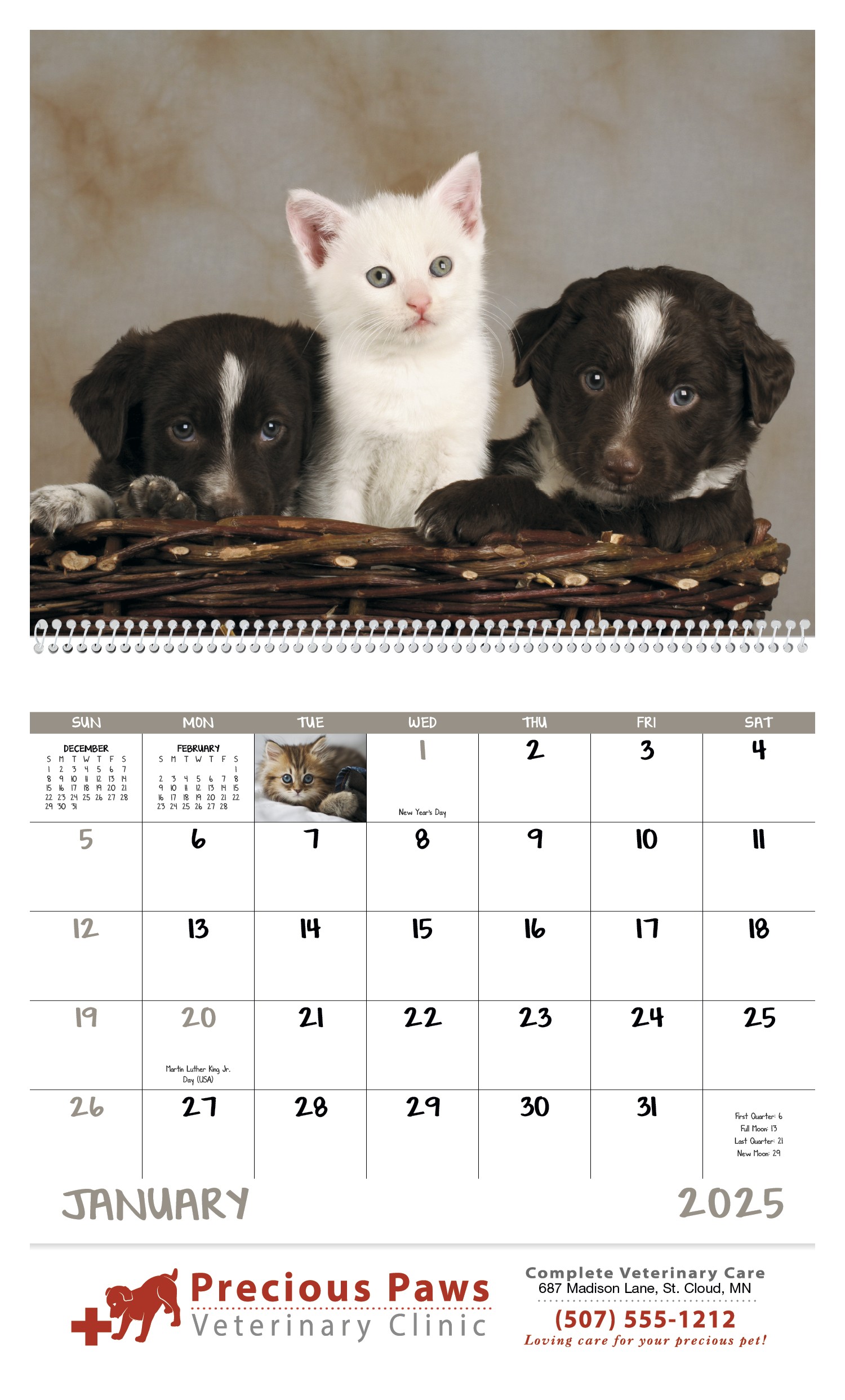 Good Value™ Puppies & Kittens - Spiral Calendar 2