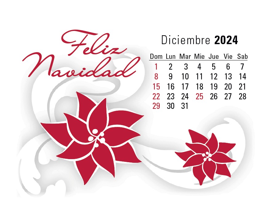 Triumph® Calendars Press-N-Stick Spanish Calendar 2