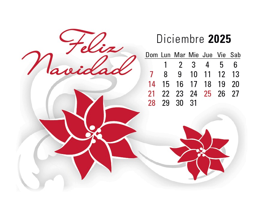 Triumph® Calendars Press-N-Stick Spanish Calendar 2