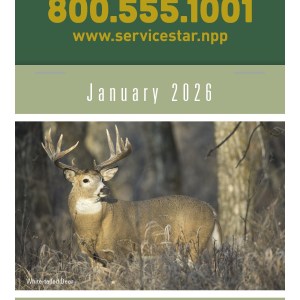 Press-N-Stick Sportsmen Calendar 2 Press-N-Stick Sportsmen Calendar 2