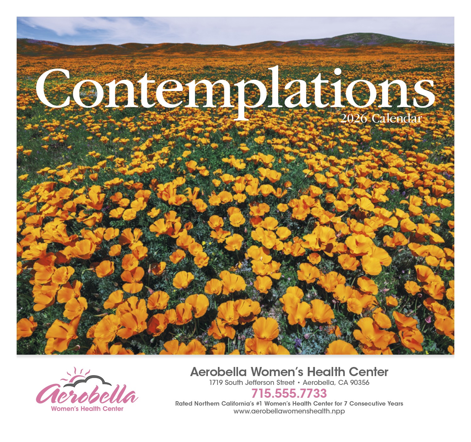 HotLine® Products Contemplations Appointment Calendar - Stapled 2