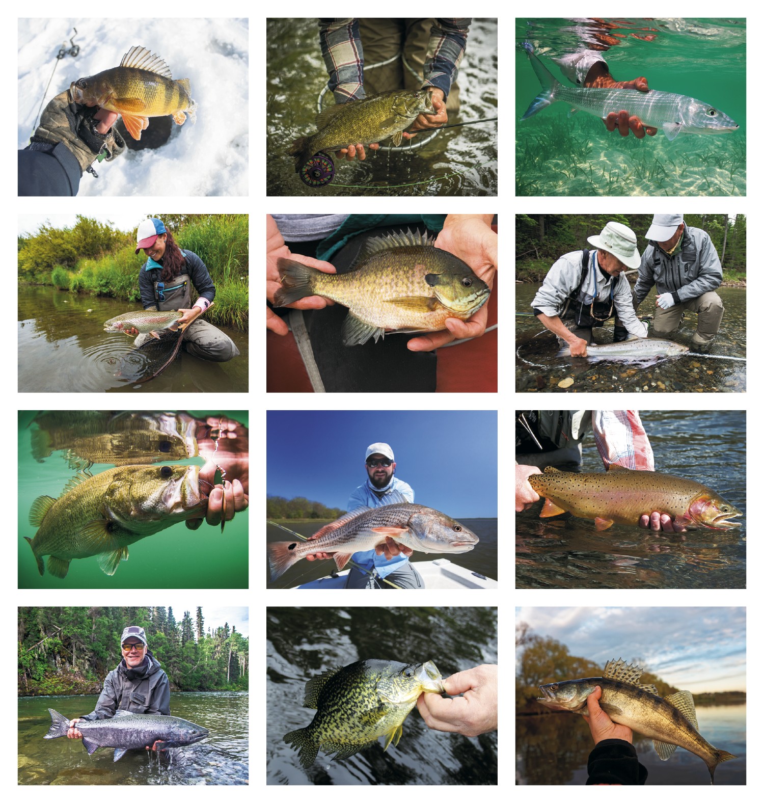 HotLine® Products Fishing Guide Appointment Calendar - Stapled 2