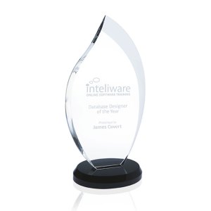 Innovation Award - Medium 2 Innovation Award - Medium 2