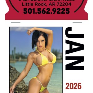 Triumph® Calendars Press-N-Stick Sunshine Girls Calendar 2 Triumph® Calendars Press-N-Stick Sunshine Girls Calendar 2