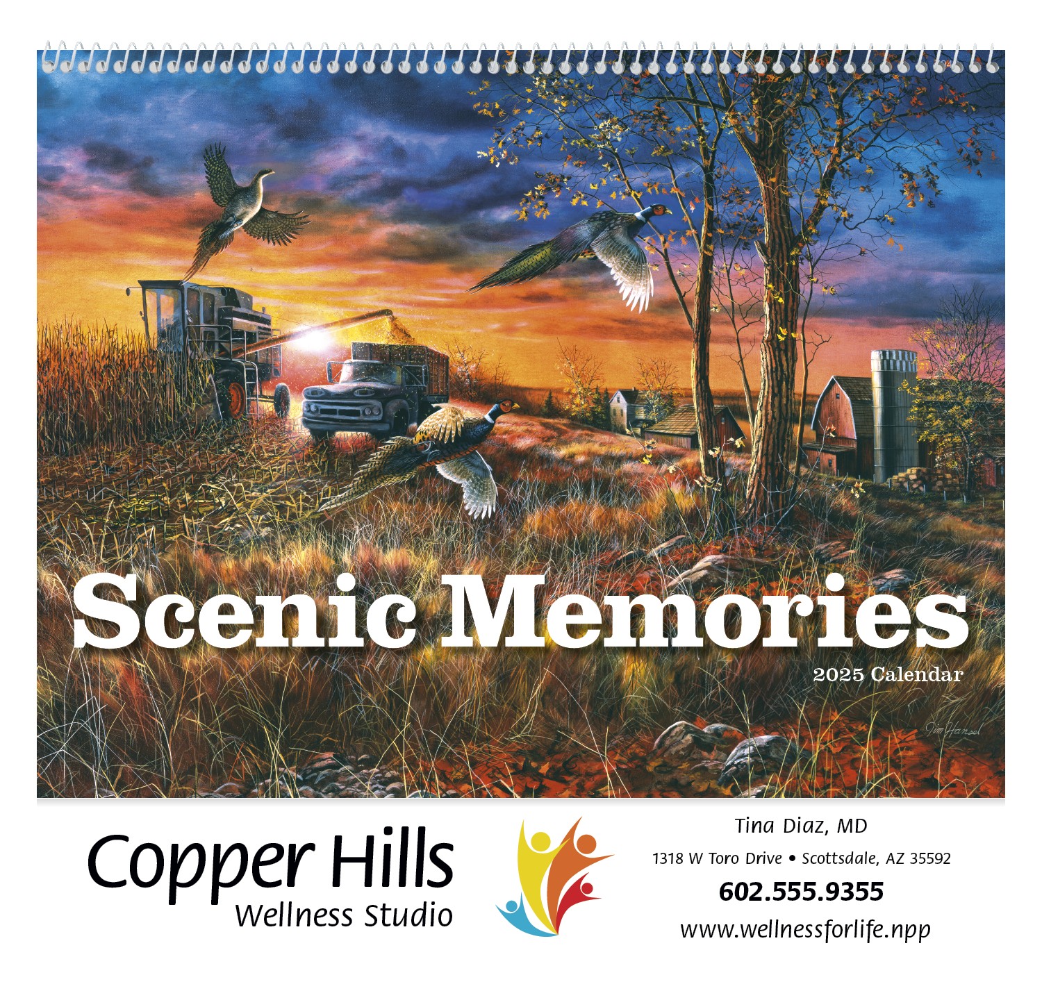 Good Value™ Scenic Memories - Spiral Calendar 2