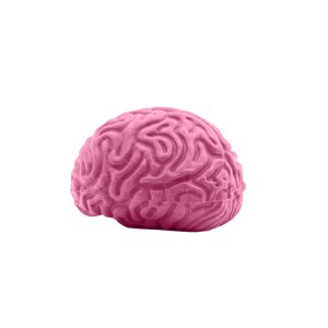 Pencil-Top Eraser Brain 2 Pencil-Top Eraser Brain 2
